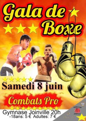 Évènement : Gala de Boxe 2019 de Joinville 52 #BoxingClubJoinville