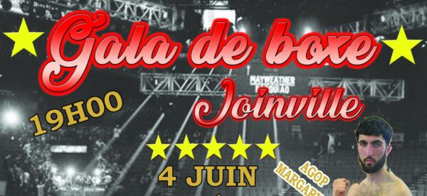 Rediffusion : Gala de Boxe 4 Juin 2022 à Joinville (52)
