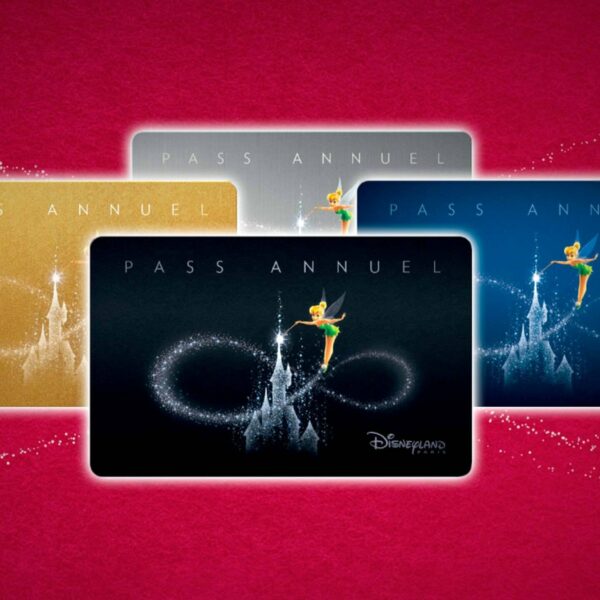 Les Pass Annuels Disneyland retirés de la vente…